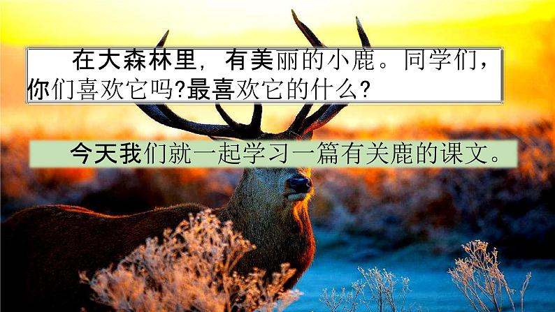 部编人教版三年级语文下册《7鹿角和鹿腿》教学课件精品PPT小学优秀配套课件第2页