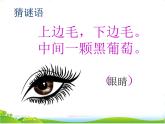 人教部编版语文一年级上册识字6《画》课件+素材