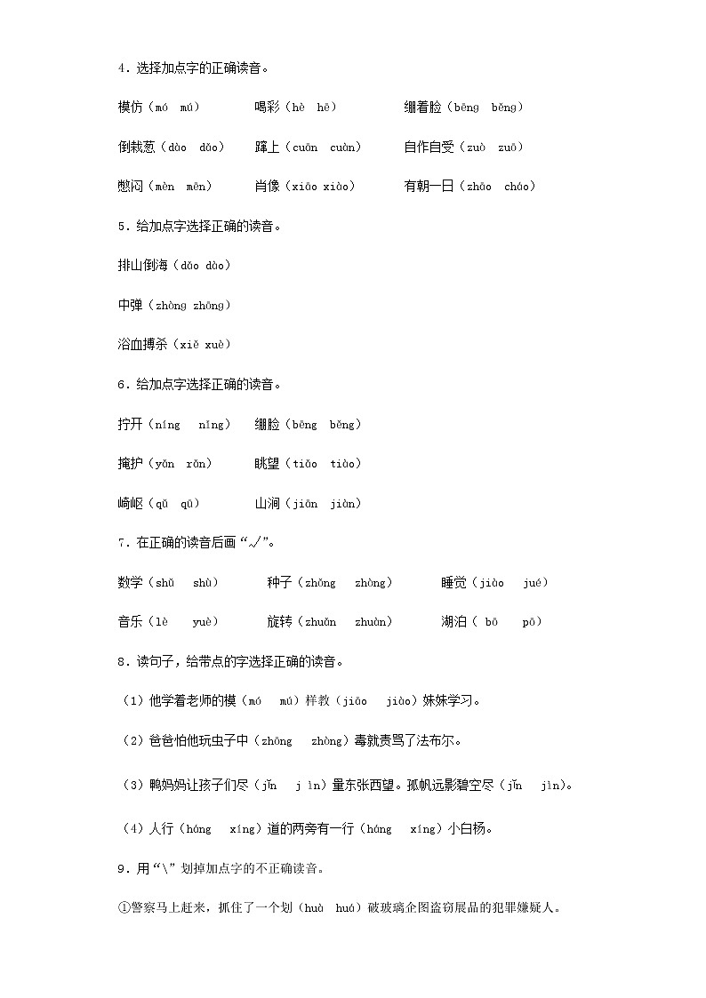 【精品】小升初语文知识专项训练（基础知识一）-2.音节（16页）02