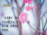 部编版六年级语文上册 第一单元 4 花之歌 课件PPT