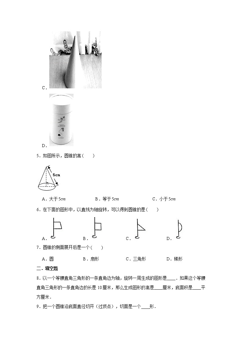 六年级下册数学试题--小升初专题复习 圆锥的特征  人教版（含解析）02