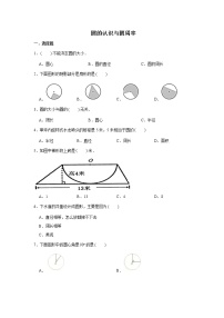 六年级下册数学试题--小升初专题复习 圆的认识与圆周率  人教版（含解析）