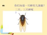 【滬教版（2021秋）】二年級(jí)數(shù)學(xué)上冊 4.2 3的乘、除法 課件