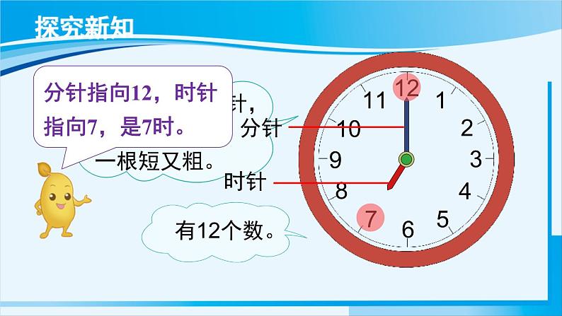 人教版一年级数学上册 7认识钟表  第1课时 认识钟表（1） 课件06