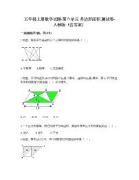 小学数学6 多边形的面积综合与测试课时练习