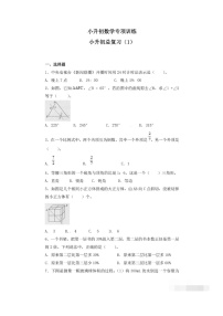 小升初数学专项复习训练试卷含答案(1)