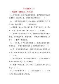 2021年小升初数学试题二 (含答案)