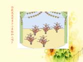 二年級上冊數(shù)學(xué) 看雜技——表內(nèi)乘法（一）-5的乘法口訣_課件1 青島版（五四制）