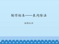 制作标本——表内除法PPT课件免费下载