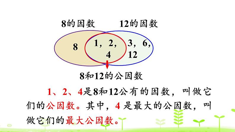 人教版五年级数学下册《最大公因数》分数的意义和性质PPT课件 (1)第6页