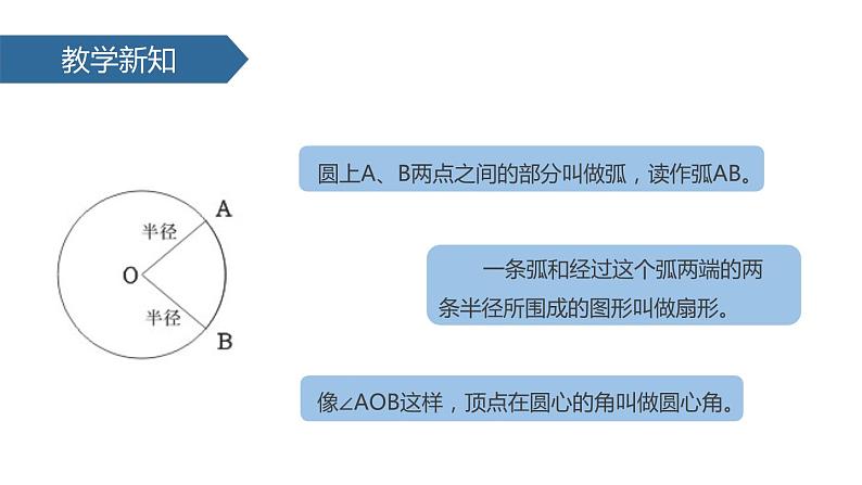 人教版六年级数学上册《扇形》PPT课件 (1)03