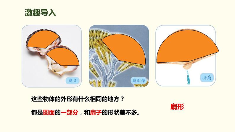 人教版六年级数学上册《扇形的认识》圆PPT课件 (1)02