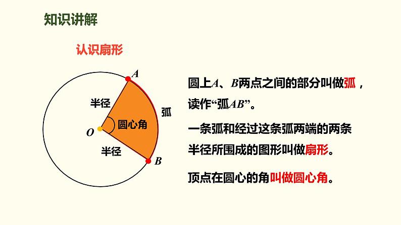 人教版六年级数学上册《扇形的认识》圆PPT课件 (1)03