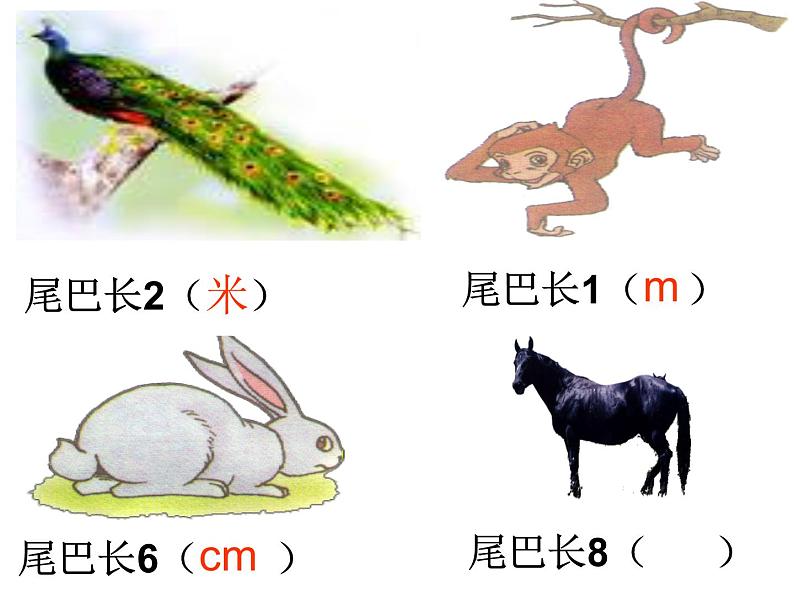 人教版三年级数学上册《分米的认识》测量PPT课件第5页