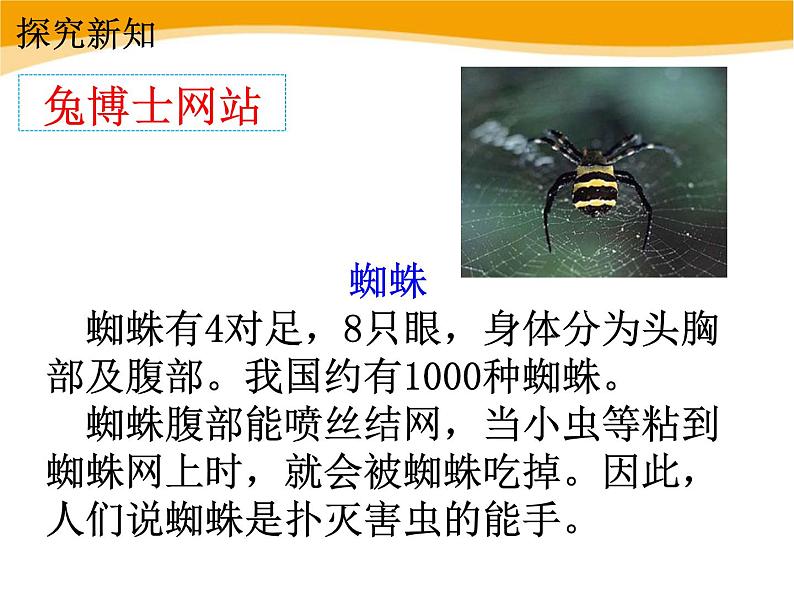 人教版二年级数学上册《8的乘法口诀》PPT课件 (2)第5页