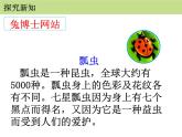 人教版二年级数学上册《7的乘法口诀》PPT课件 (4)