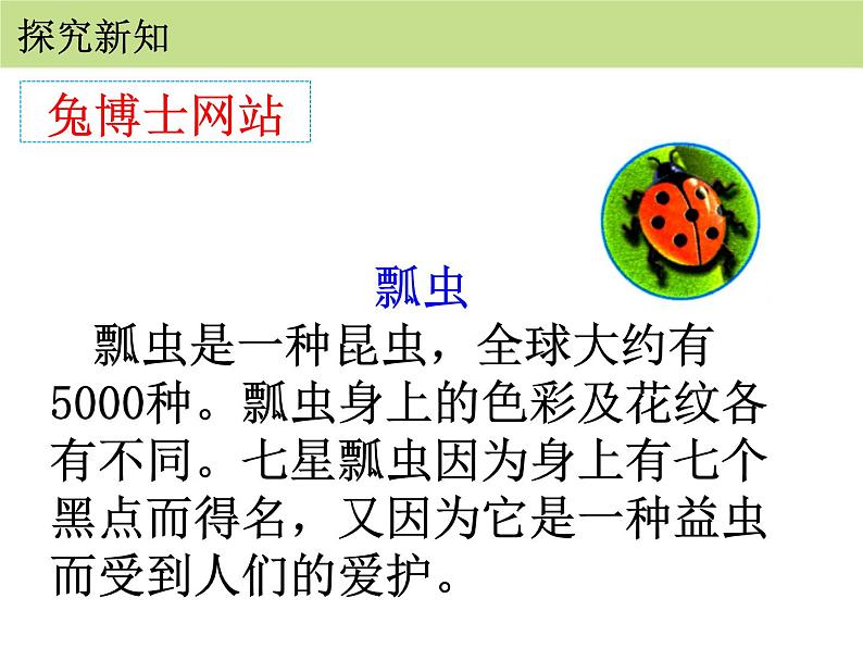 人教版二年级数学上册《7的乘法口诀》PPT课件 (4)第5页