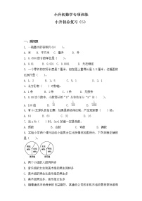 小升初数学知识专项训练总复习（五）试卷含答案