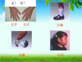 左與右PPT課件免費(fèi)下載