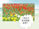 【沪教版】一年级下册 交换ppt