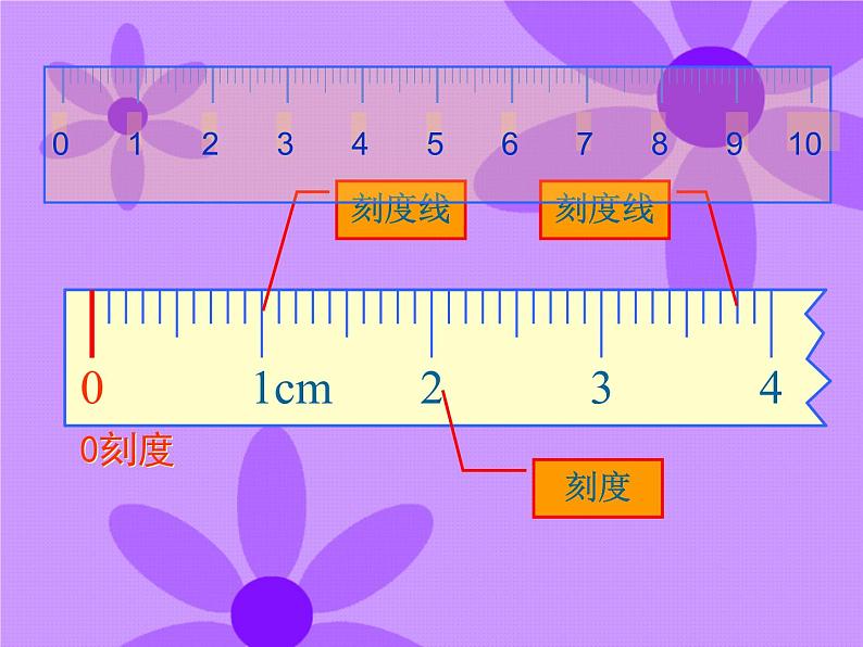 【沪教版】一年级下册 度量ppt第4页