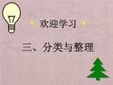 《分类与整理》课件