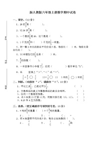 小学数学人教版六年级上册5 圆3 圆的面积精练