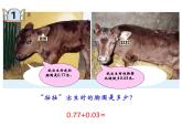 四年级上册数学 七 小数加减法课件 青岛版（五四制）