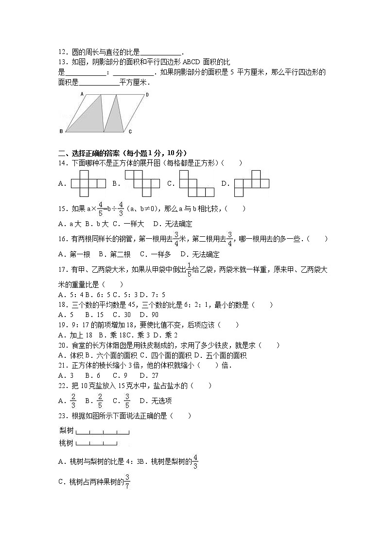 苏教版数学六年级上学期期中测试卷302