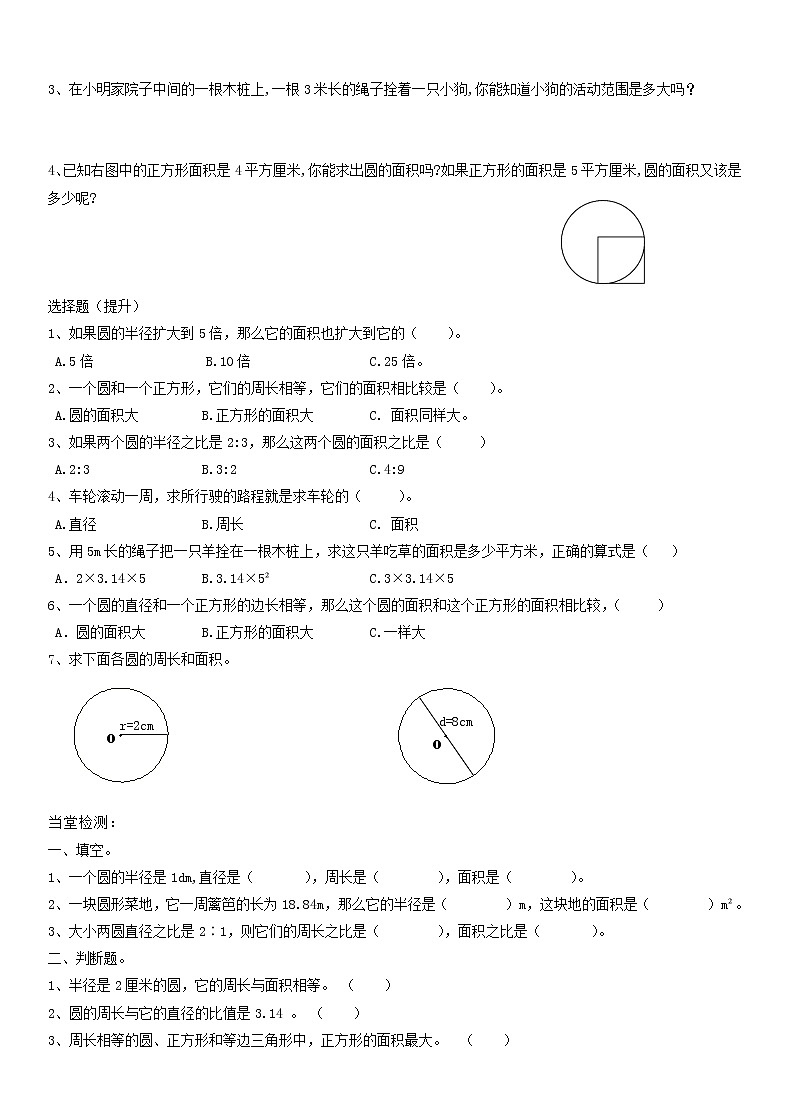 六年级上册数学试题 - 圆的周长与面积总结练习   人教新课标（无答案）第2页