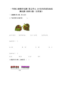 小学数学西师大版一年级上册五 20以内的进位加法综合与测试测试题