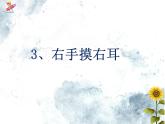 一年级下册数学课件-5.1  左与右 ▏沪教版   (1)
