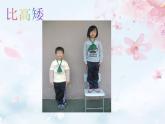 一年级下册数学课件-5.3  长度比较 ▏沪教版   (2)