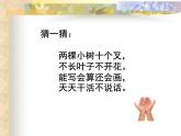 一年级下册数学课件-5.1  左与右 ▏沪教版   (2)