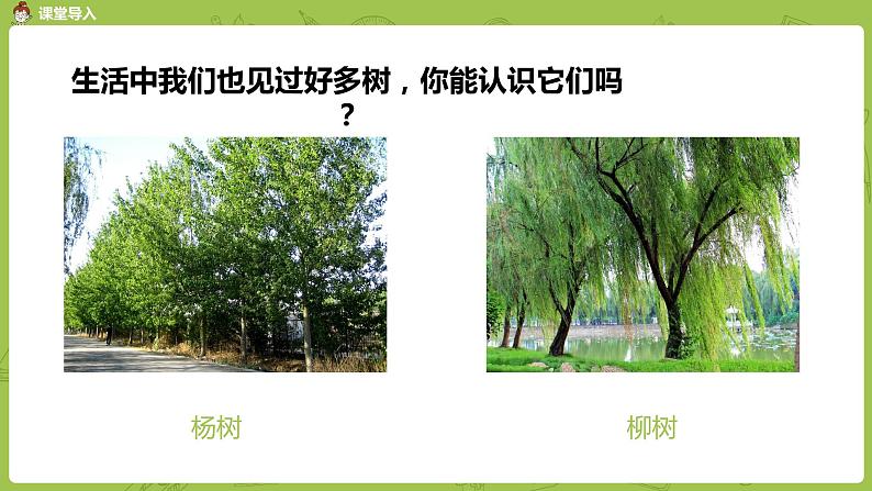 北师大版一年级数学上册 第七单元 有几棵树 课件04