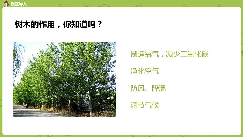 北师大版一年级数学上册 第七单元 有几棵树 课件05