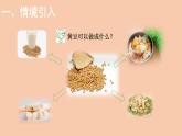 六年级数学上册课件-4.3  营养含量-北师大版（共20张）