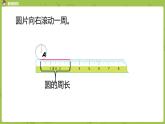 北师大版六年级数学上册 第一单元圆 第五课时 圆的周长 课件