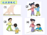 蘇教版小學(xué)數(shù)學(xué)二年級(jí)上冊(cè) ● 我們身體上的“尺”(1)課件