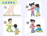 苏教版小学数学二年级上册 ● 我们身体上的“尺”(1)课件