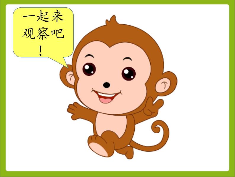 苏教版小学数学二年级上册 七 观察物体（通用）课件第7页