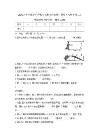 【专项训练】2021年数学小升初专项复习训练卷—图形与几何专项(二) 含答案 通用版