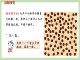 冀教版一年级数学下册整理与评价-100以内数的认识   课件（20张ppt）