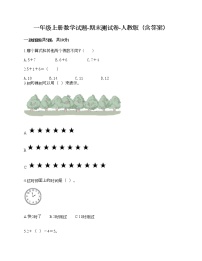 一年级上册数学试题-期末测试卷-人教版（含答案） (18)