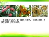 苏教版小学数学四年级上册 2、解决问题的策略（2）(4)课件