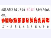 苏教版小学数学四年级上册 ★ 简单的周期(10)课件