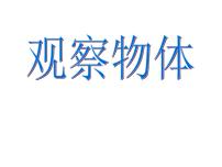 人教版二年级上册5 观察物体（一）课堂教学课件ppt