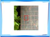 苏教版数学三年级上册 三 认识长方形和正方形 课件