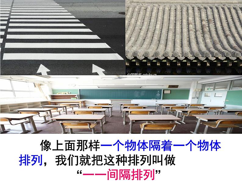 苏教版数学三年级上册 间隔排列 课件第5页