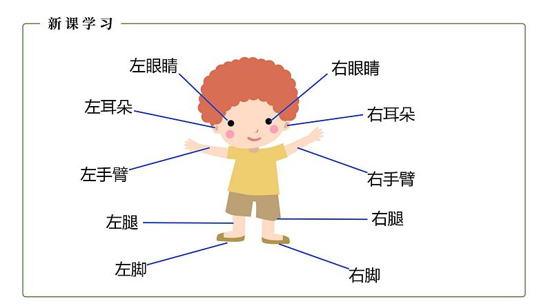 人教版数学一年级上册2.2 左、右 课件第8页